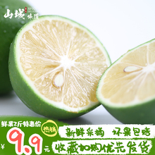 包邮 万州新鲜青柠檬当季水果香水青柠皮薄多汁奶茶店榨汁专用2斤