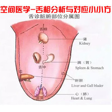 2017年空间医学 舌诊舌相分析与对应小小方中医舌诊视频