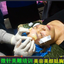 微针美雕美容美颜提胸挺胸面部提升培训视频理论及实操