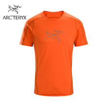 Arcteryx 始祖鸟男款 日?;馕藕雇钙旄稍硕菹蠺恤Phasic