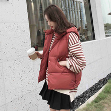马甲女秋冬短款女羽绒棉马夹韩版冬季加厚修身女装背心外套面包服图片