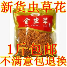 包邮 金虫草 虫草花 孢子头特级500克 批北虫草 蛹虫草 无硫正品