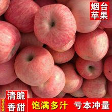 山东烟台栖霞苹果新鲜红富士丑果中小果5斤15到18个果脆甜多汁