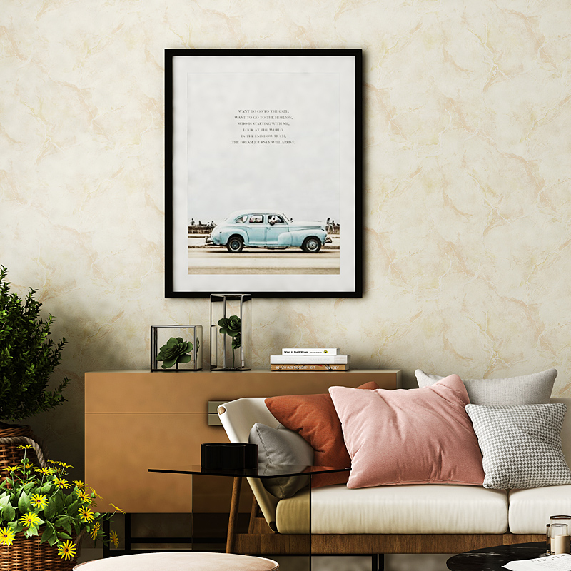 �׹ڴ���ʯ��ǽֽ