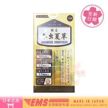 滋养 190粒EMS 包邮 直邮AISHODO爱妆堂 灵芝 冬虫夏草 日本代购