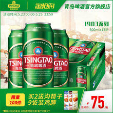 青岛啤酒1903精酿啤酒500ml 12听整箱精心慢酿官方直营