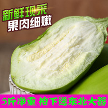 包邮 东北特产农家自种新鲜现摘大绿茄子牛奶茄子生吃茄子一份5斤