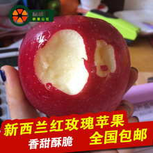 新鲜美国新西兰红玫瑰苹果4122rose大果5斤皇后queen红苹果包邮