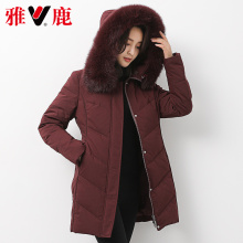 yaloo/雅鹿狐狸毛领款冬羽绒服女式 中长款 修身显瘦图片