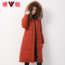 yaloo/雅鹿2018女装中长款冬季羽绒服时尚修身版型（貉子大毛领）图片