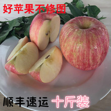 顺丰速运红富士苹果山东特产无公害新鲜水果10斤装正宗栖霞