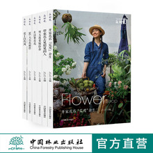 生活要有花 带束花去见想见 365天有花相伴 明天我要嫁给你 花视觉系列书籍全6册爱上自然风 开家花店荒度余生插花6本JOJO花艺