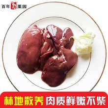 生鲜速冻鸡内脏 油鸡分割品 北京油鸡鸡肝500g 首农百年栗园