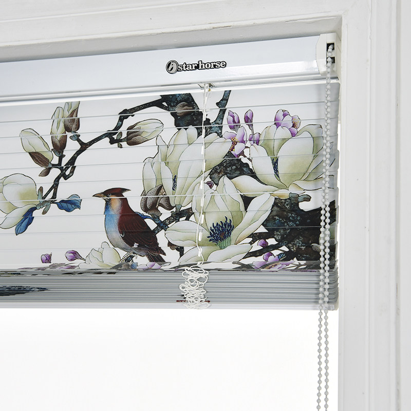 ˹����ӡ������Ҷ��SSMA03