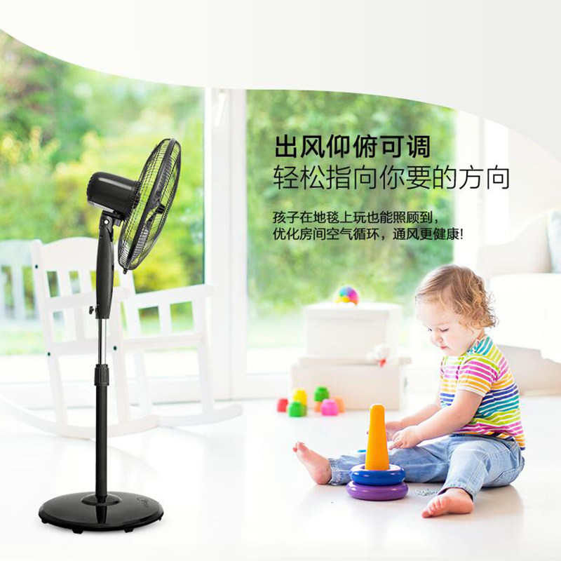 ������ʽ����