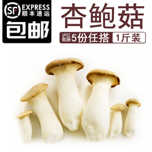 蘑菇 江浙沪皖5件 包邮 新鲜蔬菜 肉厚鲜嫩 美味菌菇 杏鲍菇500g