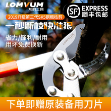 龙韵剪刀修枝剪园艺修剪树枝果树剪刀粗枝剪大剪刀省力园林强力剪