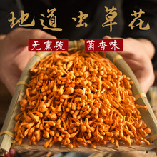 孢子头新鲜西藏内蒙北金虫草年货 林鲜笙虫草花干货级特250克正品