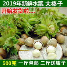 生榛子500g 2019年新鲜大榛子新货东北野生带皮水仁水瓤桓仁去皮