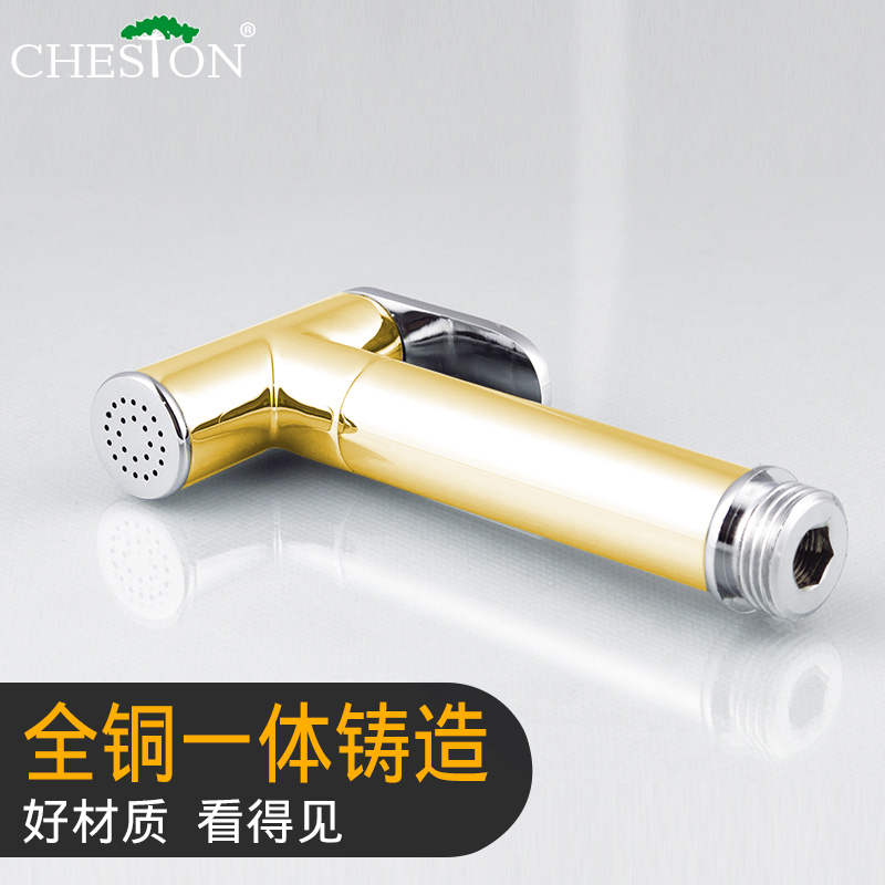 chestonȫͭ��Ͱ��ǹ1V0230AWCG