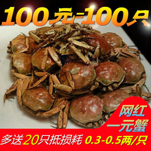 徽周100只装香辣蟹1一元蟹小螃蟹鲜活大闸蟹河蟹老头蟹麻辣小闸蟹