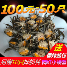 蟹香辣蟹 蟹大一元 0.7两2二元 徽周六月黄小螃蟹鲜活大闸蟹50只0.5
