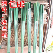 仿真蒲叶水蜡烛叶 仿真假水蜡烛叶 水蜡叶蒲棒蒲草蒲叶干花草田园