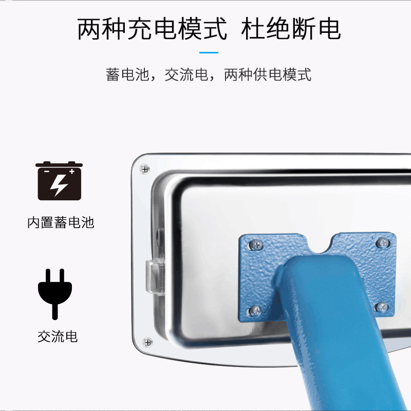 大河300kg电子秤商用100公斤电子称台秤计价