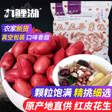 原味去壳花生仁 红衣花生仁红花生米250g 生花生 红皮花生 九鲤湖