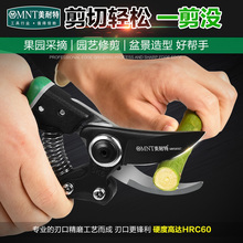 德国美耐特园艺剪刀修枝剪刀花剪家用果树粗枝多功能省力园林剪