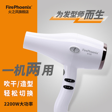 火之凤吹风机发廊专用理发店大功率超静音吹干造型两用大风力6100