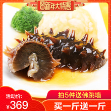 东上御品 野生海参即食500g 大连辽参刺参海渗鲜活 海参礼盒年货