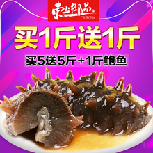 辽参刺参海渗即食礼盒500g批发 即食海参 野生海参大连 东上御品