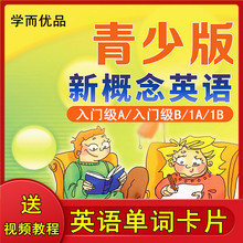新概念英语青少版入门级A 1B小学英语单词卡片英文早教启蒙