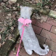 遛猫绳猫链猫咪牵引绳防挣脱防逃脱专用猫咪用品胸背带外出遛猫