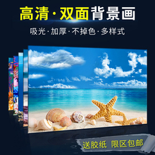 水族箱壁纸3D高清背景画立体装 饰贴画仿真底柏逯教纸 鱼缸背景纸