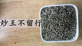 王不留行100克