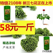 2018年新三七花田七花茶云南文山四年生特级精选三七花500克