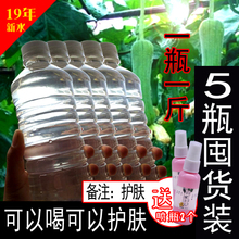 超实惠只发简装 丝瓜水农家自采丝瓜藤原液500MLX5瓶直接喝囤货装