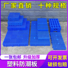 宠物垫子塑料防潮垫狗笼子脚垫板塑料网格板卡板浅板洞洞板垫板