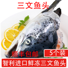 智利进口 新鲜冷冻三文鱼头 熬汤鱼头已去腮处理2500g/份顺丰包邮