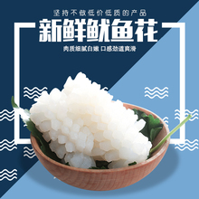 新鲜冷冻鱿鱼花墨鱼花目鱼花 海鲜水产500g/袋 少冰 品质棒棒哒