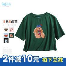 阁楼花开短袖女2018新款韩版夏装上衣ins同款t恤修身百搭学院风女图片
