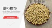黄豆新货黑龙江黄豆老品种东北农家笨大豆可发芽500g5件包邮