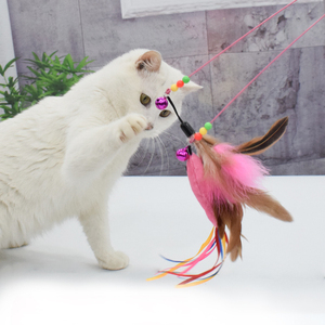 猫玩具逗猫棒猫用品