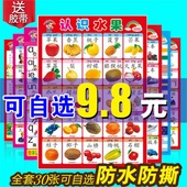 宝宝识字无声挂图 认知启蒙单面 包邮 婴幼儿童早教看图拼音挂贴画