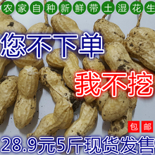 新鲜花生2018年新鲜花生带壳湿花生农家自种现挖现卖鲜花生5斤装