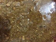 拍1发200毫升 斑纯露 拍2直接发500毫升
