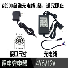 儿童车喷雾器蓄电池充电器 6V/12V24V充电器12V铁锂充电器