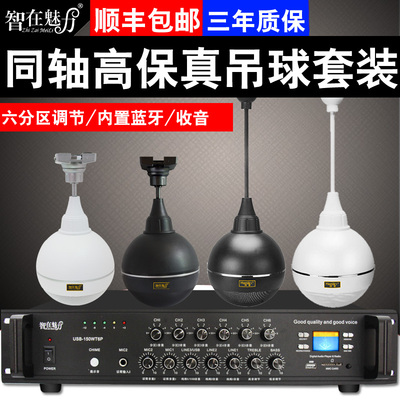 智在魅力 ZL-908T吊顶音响天花吸顶喇叭壁挂吊球背景音乐功放音箱